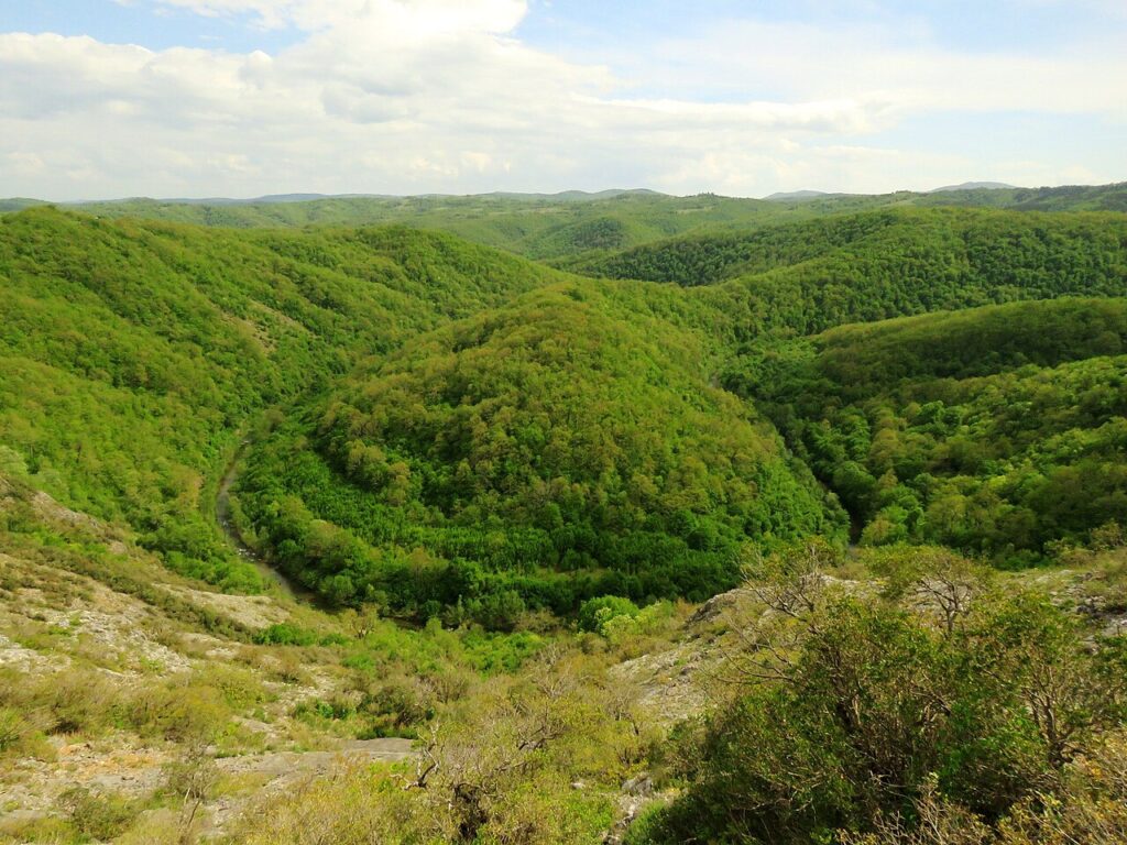 Меандрите на река Велека в Странджа
